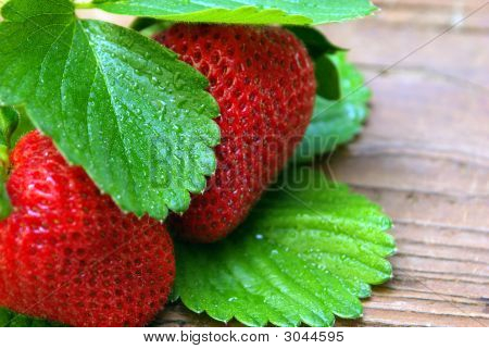 Due Glistining fragole su legno stagionato