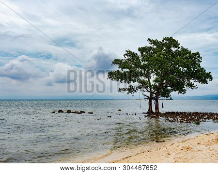 Tree On The Beach In Tinito, A Village In Maasim In The Sarangani Province On Mindanao, The Southern