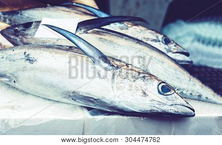 Fresh Fish Mackerel For Sale In The Fish Market Pescheria Of Catania, Sicily, Italy