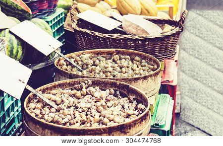 Raw Snails Alive For Sale In The Fish Market Pescheria Of Catania, Sicily, Italy