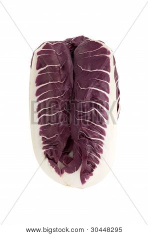 Radicchio Treviso Red Chicory Isolated On White Background