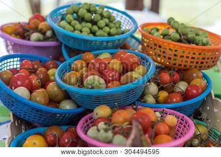 Tomato (ma-keua-tayt, Ma-keua-som), Turkey Berry Is Thai Exotic Vegetables In Market Exotic Vegetabl