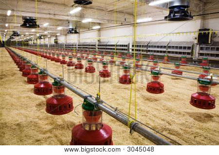 Granja
