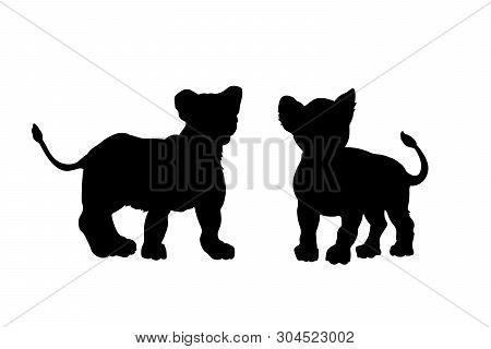 Black Silhouette Of Young Lions On White Background. Lionet Image. Isolated Icon Of Wild Cat. Africa