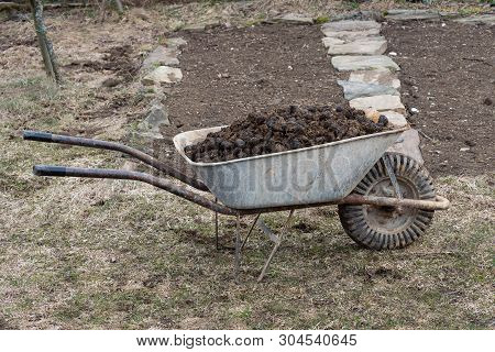 Pile Of Horse Manure On Garden - Farming And Garden Work