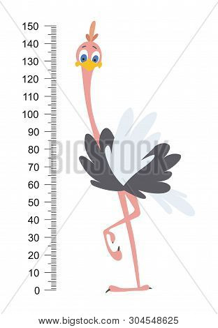 Meterwall Or Height Meter With Tall Surprising Ostrich.