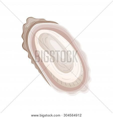 Raw Molusk In The Open Sink. Vector Illustration On White Background.