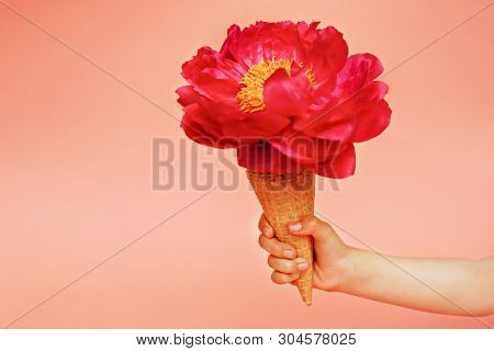 Red Peony In Waffle Cone In Baby Hand