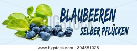 Fresh Blueberries And Leaves With Germen Text Blauberren Selber Pfluecken Which Means Whortleberries