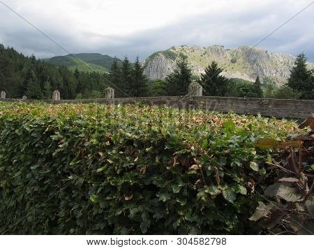 View Of The Pania Di Corfino Mountain From The Orecchiella Nature Park In Summer . Lucca, Tuscany, I