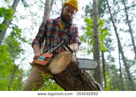 A Bearded Chainsaw Worker Cuts Wood With Chainsaw
