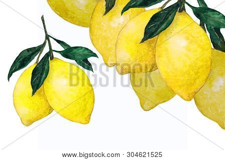 Juicy Lemons. Watercolor Hand Painted  Illustration. Lemon For Your Design.