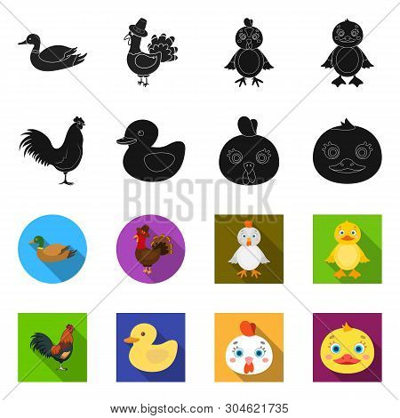 Vector Illustration Of Funny And Poultry Icon. Set Of Funny And Farming Vector Icon For Stock.