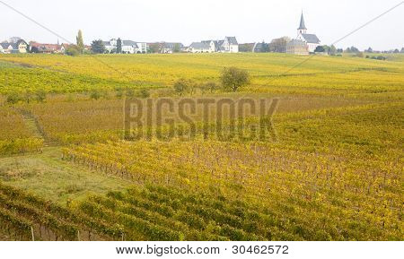 Hochheim, Rheingau, Saksa
