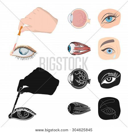 Vector Illustration Of Medical And Eyeball Logo. Set Of Medical And Optical Stock Vector Illustratio