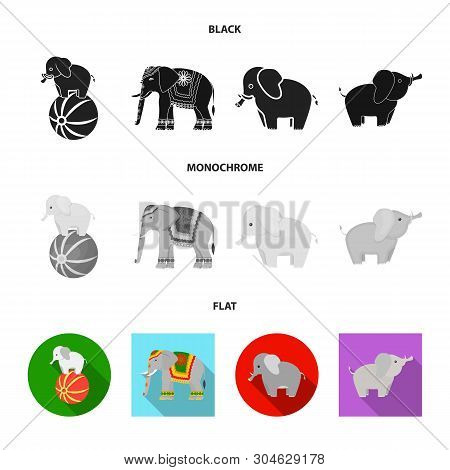Vector Design Of Elephant And Asian Symbol. Set Of Elephant And Elephant Stock Vector Illustration.