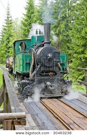 vapor de la locomotora, Museo de Kysuce village, Vychylovka, Eslovaquia