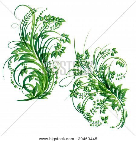 벡터 플로랄 디자인 요소