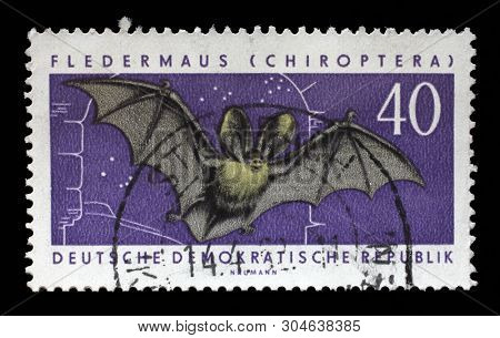 ZAGREB, CROATIA - JULY 02, 2014: A Stamp printed in German Democratic Republic shows the image of a flying mice, circa 1958.