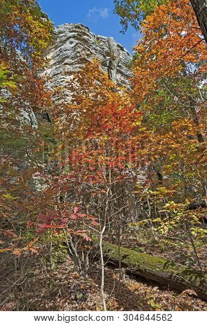 Sandstone Cliff Looking Over The Colorful Fall Forest In The Garden Of The Gods In Shawnee National 