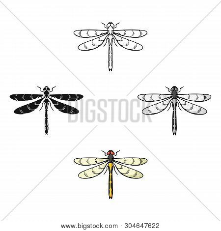 Dragonfly Icon In Cartoon, Black Style Isolated On White Background. Insects Symbol Stock Vector Ill