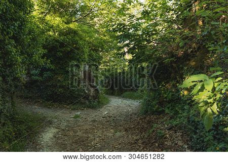Detail Of A Rustic Street Full Of Vegetation In La Alberca, Cáceres-spain