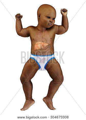 3d rendered medically accurate illustration of a black babys liver