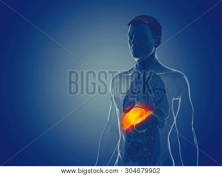 3d rendered medically accurate illustration of a mans liver