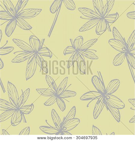 Kafir Lilies Flowers. Collection Of Hand Drawn Flowers And Plants. Botany. Set. Vintage Flowers. Bla