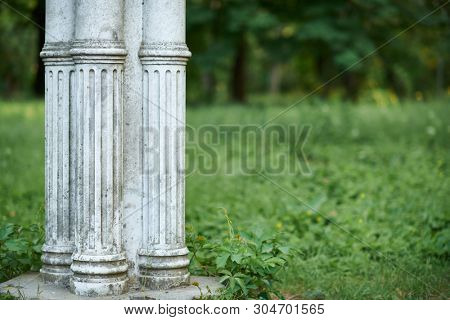 old white column in park, retro architecture, trees and leaves
