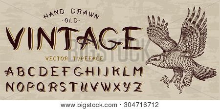 Calligraphic Vintage Font, Capital Letters. Bird Eagle, Template For Emblem And Logo. Alphabet On Re