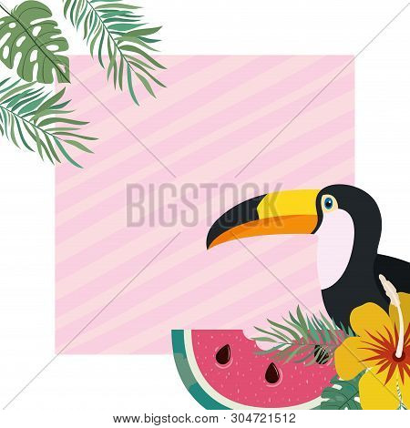 Pattern Of Toucan And Summer Flower Vector Illustration Design