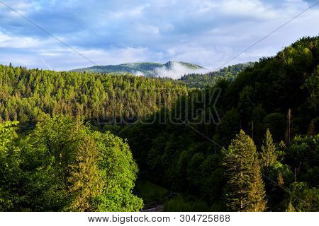 Outdoor Photo Of Wonderful Landscape Of Forest, Lots Of Green Trees, Blue Sky With Clouds, Beautiful