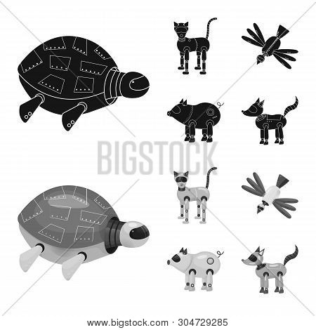 Isolated Object Of Toy And Science Icon. Set Of Toy And Toy Vector Icon For Stock.
