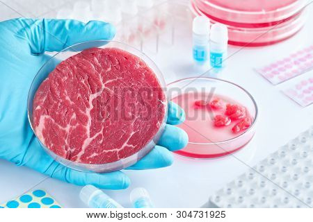 Meat Sample In Open  Disposable Plastic Cell Culture Dish In Modern Laboratory Or Production Facilit