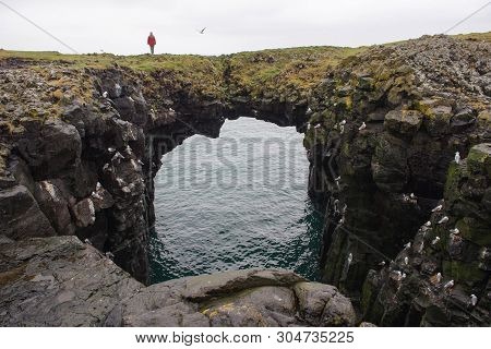 Arnarstapi Basalt Rock Arch Formation, Iceland