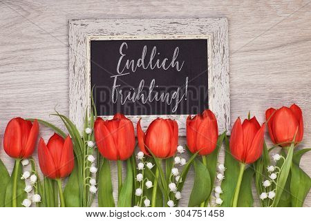 Bunch Of Red Tulips And Lily Of The Valley Flowers On Light Wood With Black Board. Chalk Text On The