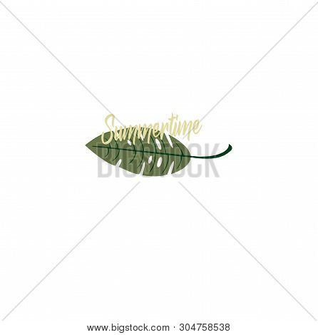Summer Vector Logo Tropical Leaf Closeup. Summer Time - An Exotic Plant