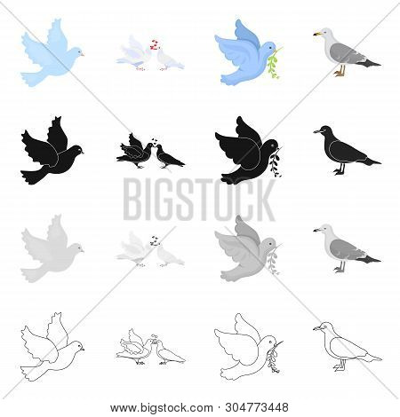 Isolated Object Of Flying And Dove Icon. Set Of Flying And Carrier Vector Icon For Stock.