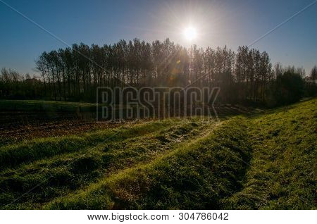 An Early Morning Landscape Including A Tractor Trail, In The East Flemish Country Side.