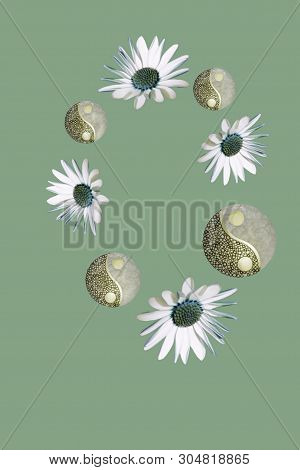 White Flowers And Green Yin-yang In Green Background
