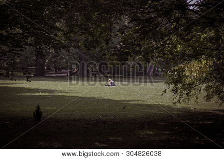 Lonely Girl Reading Book In Big Park Among Trees