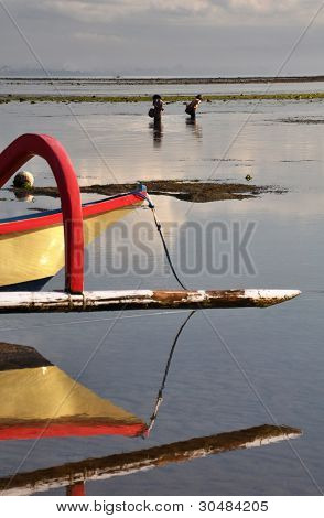 Sanur ženy loví za úsvitu, Bali, Indonésie.