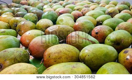 Reddish Yellow And Greenish Ripe Alphonso Mangoes Bunch For Sale