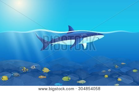 White Shark In The Ocean In The Day