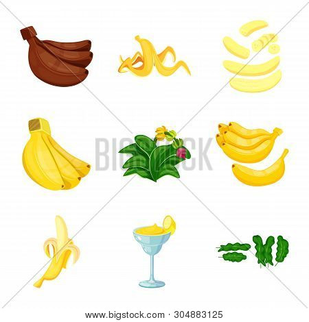 Vector Design Of Tropical And Ripe Icon. Set Of Tropical And Potassium Stock Vector Illustration.