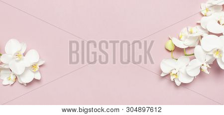 Beautiful White Phalaenopsis Orchid Flowers On Pastel Pink Background Top View Flat Lay. Tropical Fl