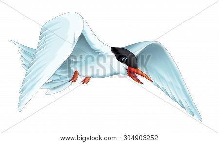Cartoon Scene With Flying Bird Tern Isolated On White Background Illustration For Children