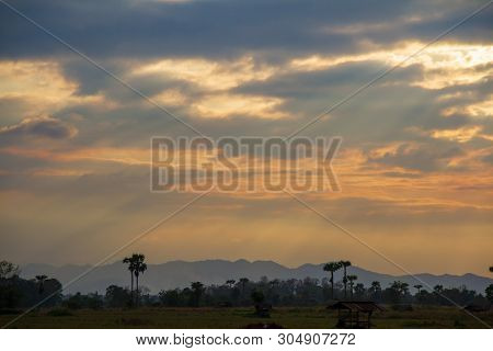 Evening Weather In The Field, Golden Cloud And Sky With Sun Light Are Shone Through The Clouds Look