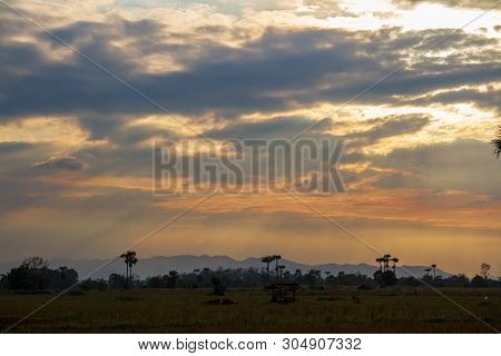 Evening Weather In The Field, Golden Cloud And Sky With Sun Light Are Shone Through The Clouds Look
